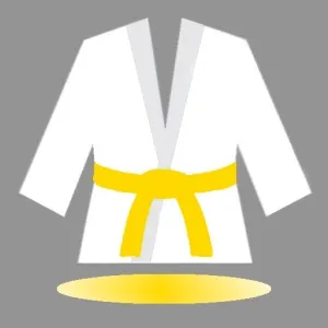 ترم سوم – کمربند زرد